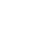 Bug